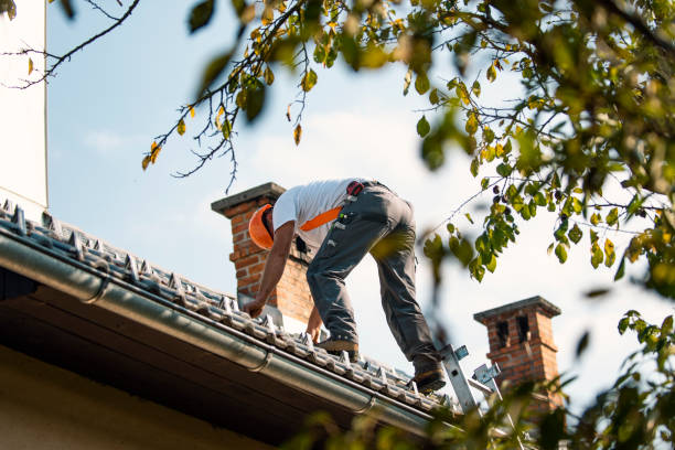 Best Roof Installation  in Tell City, IN