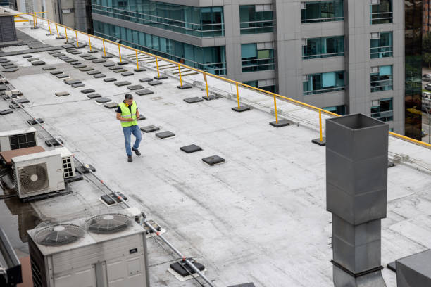 Best Roof Maintenance and Cleaning  in Tell City, IN