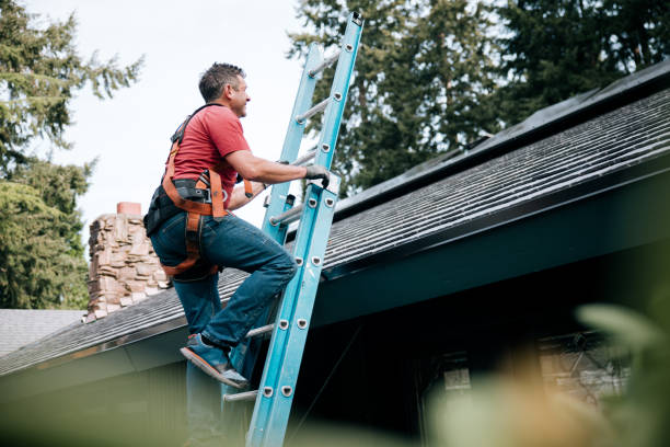 Best Roof Insulation Installation  in Tell City, IN